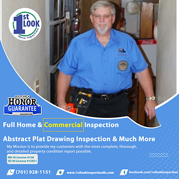 1st Look Inspection