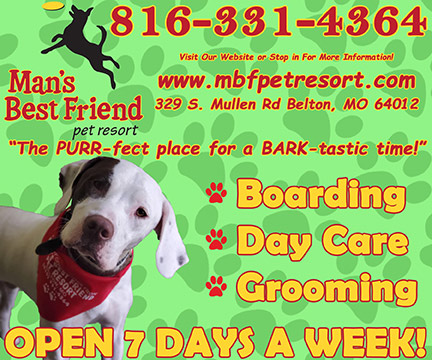 Mans Best Friend Pet Resort