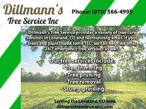 Dillmann’s Tree Service Inc.