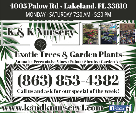 K & K Nursery