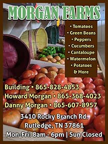 Morgan Farms