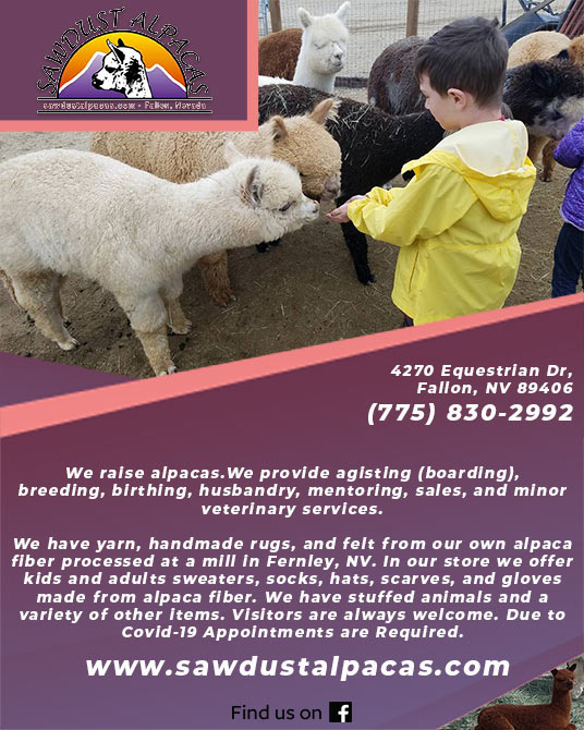 Sawdust Alpacas