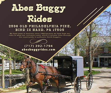 Abe’s Buggy Rides
