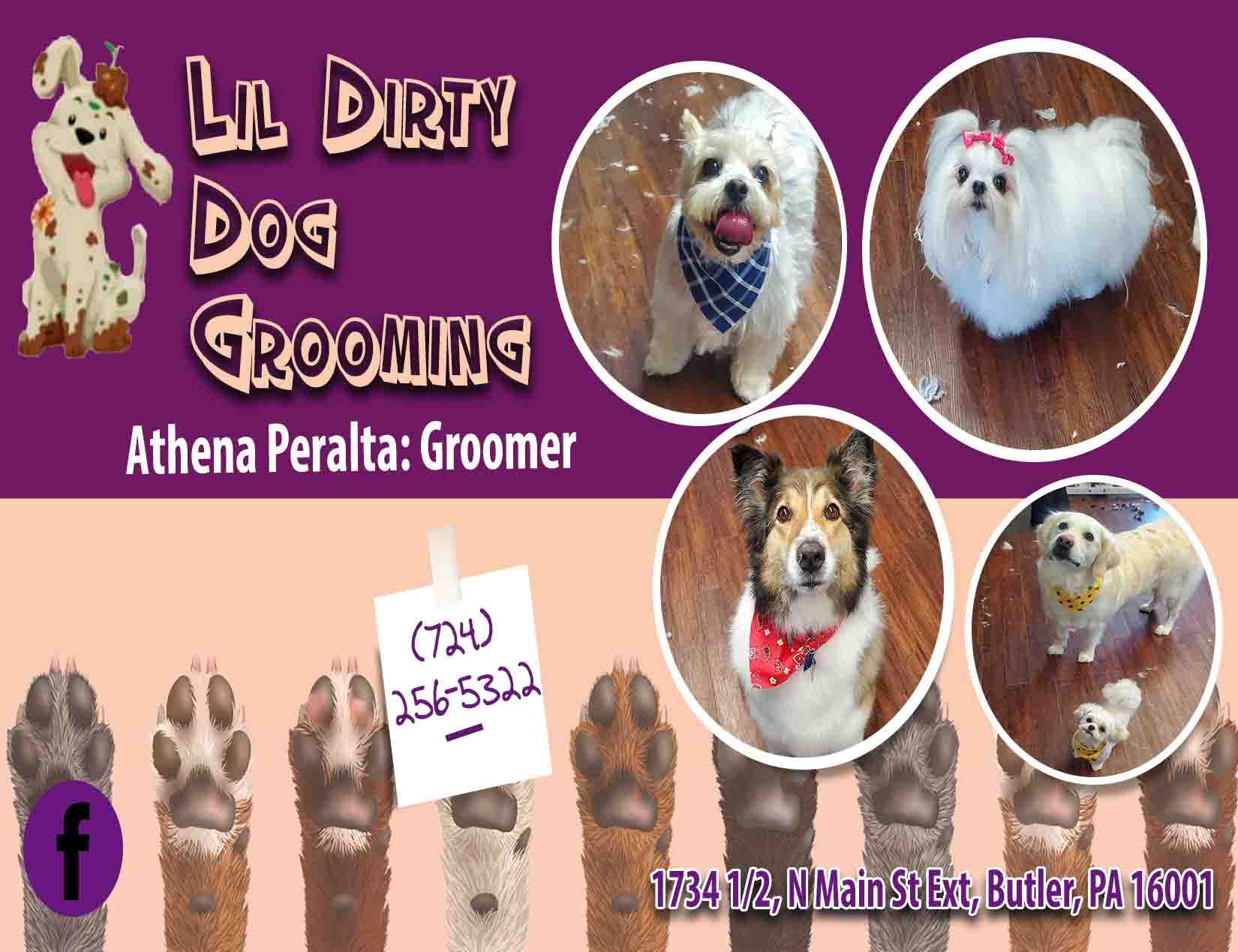 Lil Dirty Dog Dog Grooming