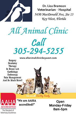 All Animal Clinic