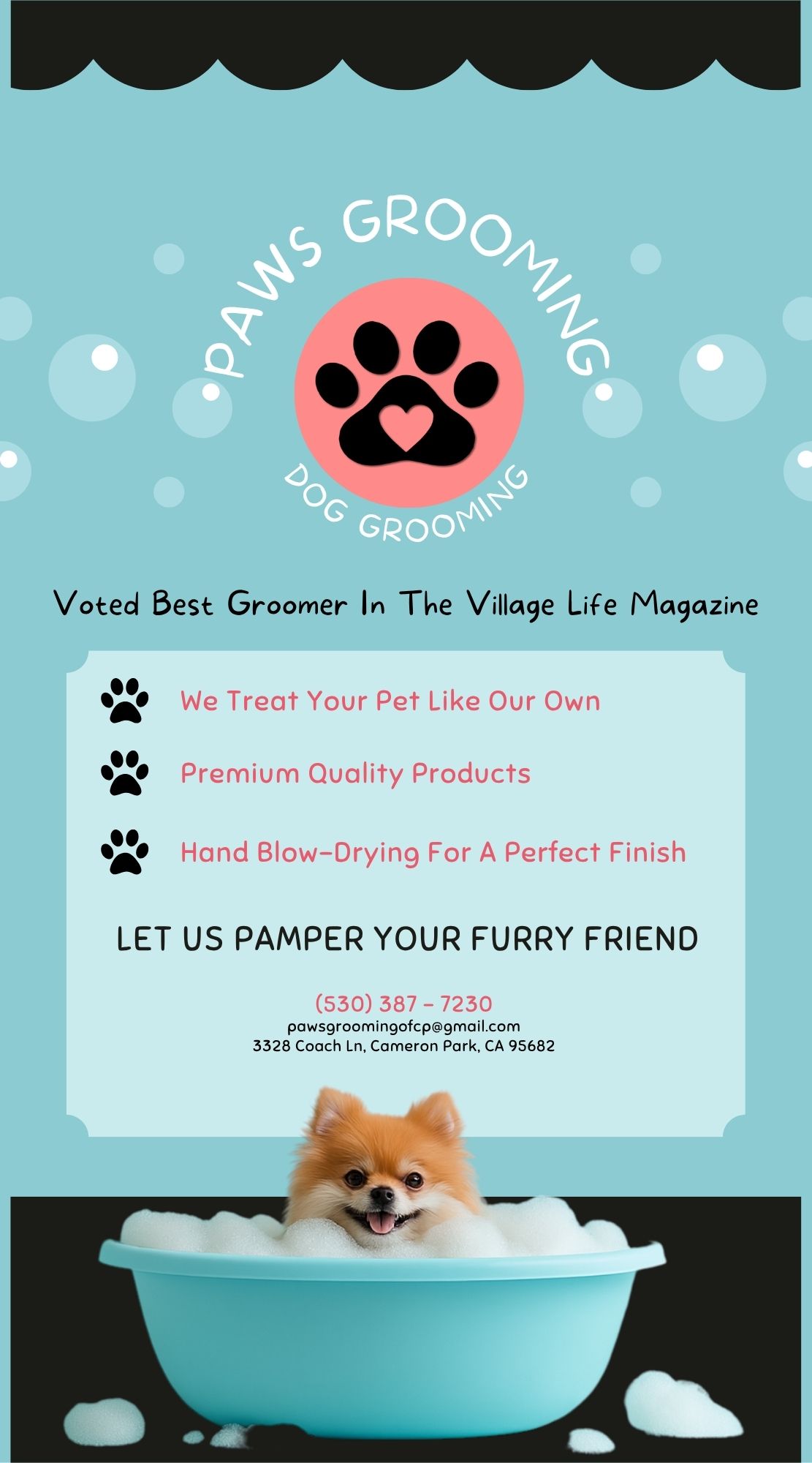 Paws Grooming