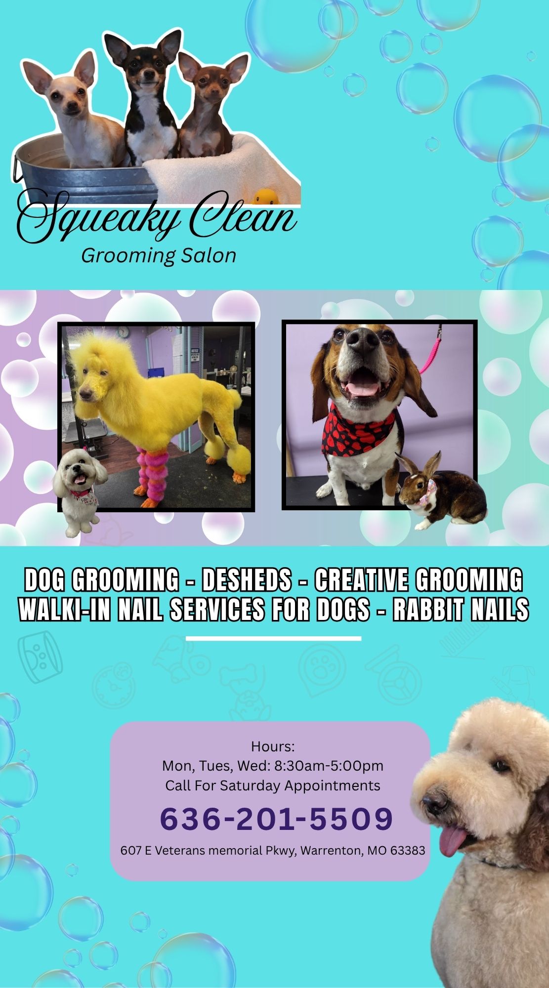 Squeaky Clean Grooming Salon
