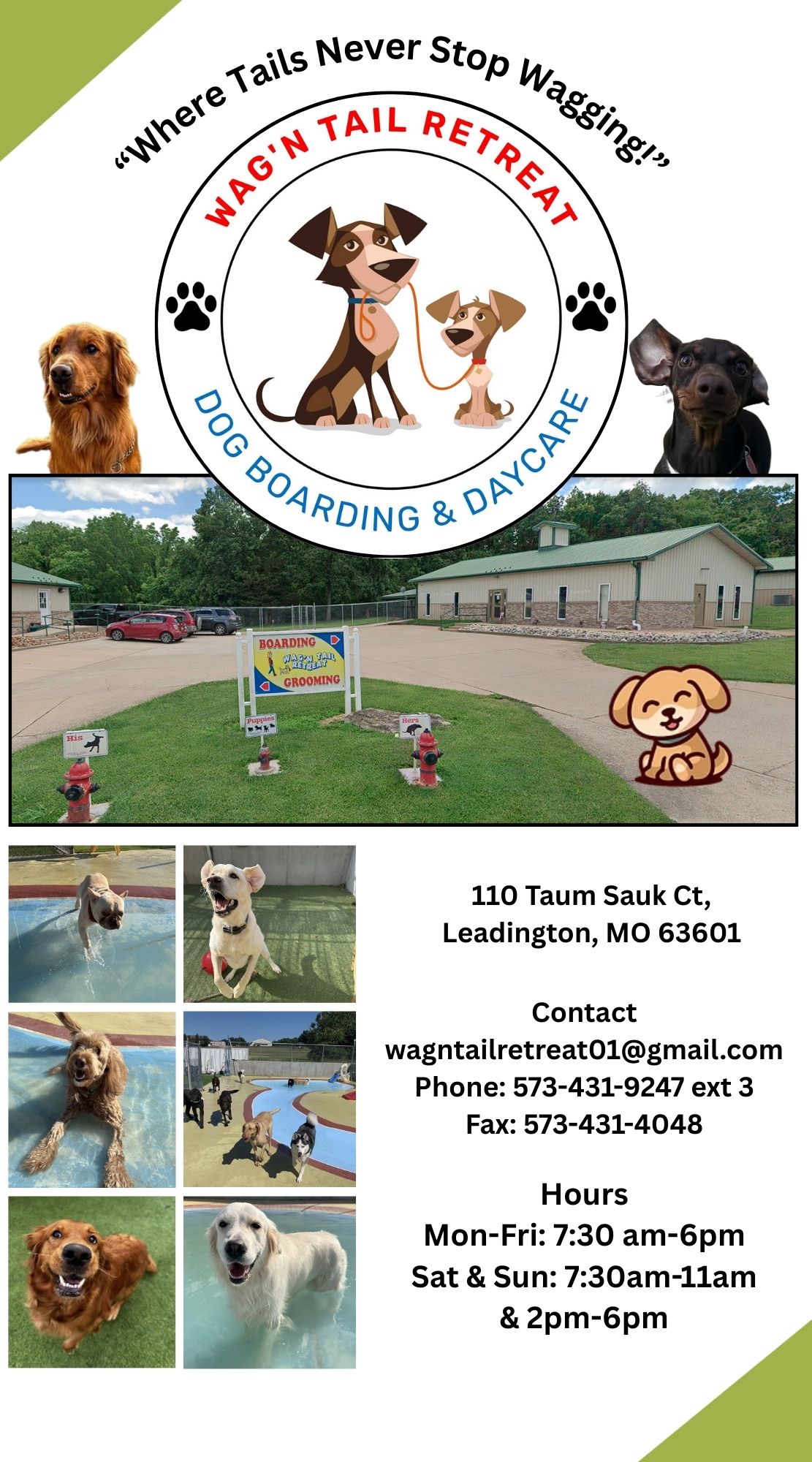 Wag’N Tail Retreat