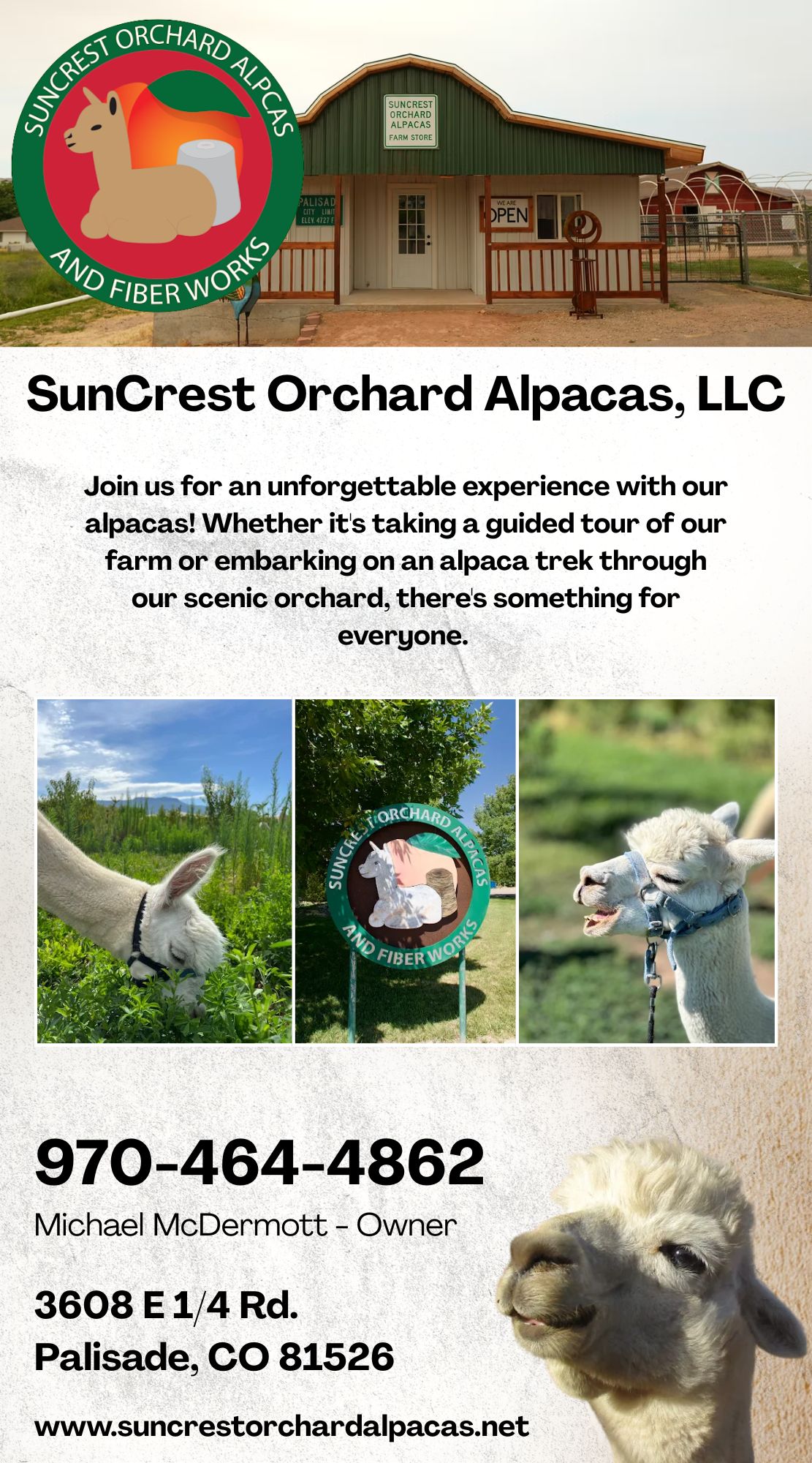 Suncrest Orchard Alpacas